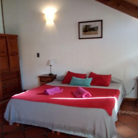 Departamento En Apart Pequena Comarca Appartement San Martín de los Andes Buitenkant foto