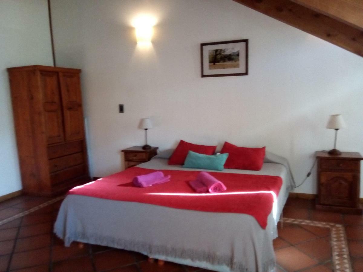 Departamento En Apart Pequena Comarca Appartement San Martín de los Andes Buitenkant foto